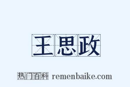 王思政是什么意思的图片